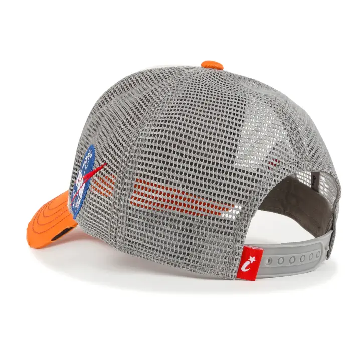 Ililily NASA Mission